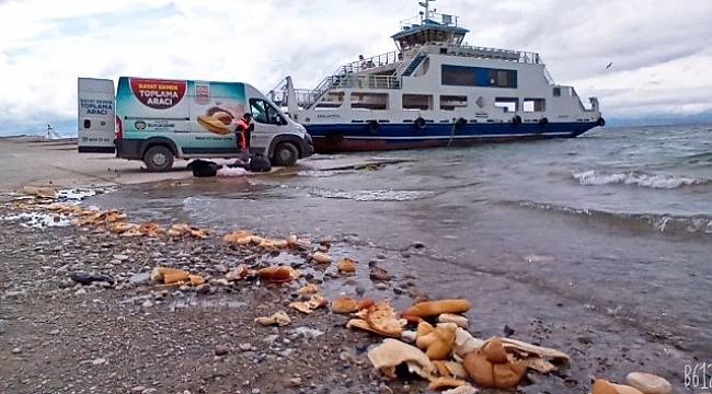 Malatya'da Sokak Hayvanları Unutulmuyor