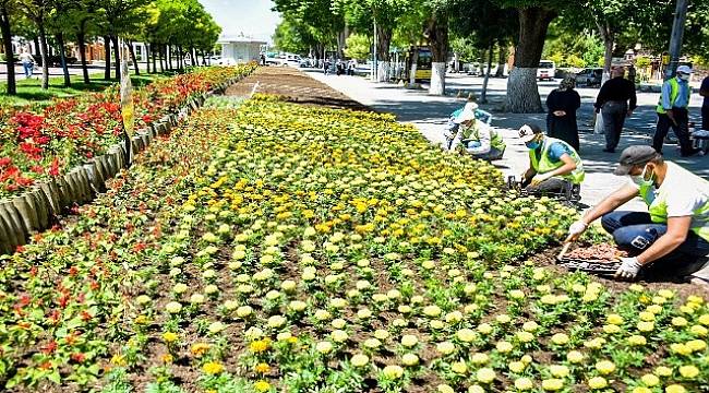 Malatya'da Parklar Çiçeklerle Süsleniyor