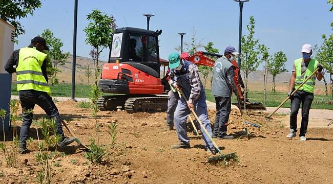 Yeşilyurt’ta Yeşillendirme Hız Kazandı