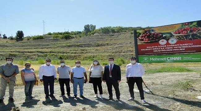 Yeşilyurt'ta Kiraz Ve Vişne Üretimi Artacak