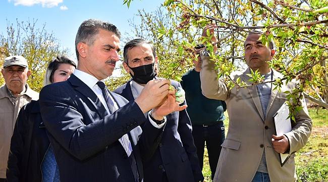 Vali Baruş Kayısı Hasar Tespit Çalışmalarımız Başladı