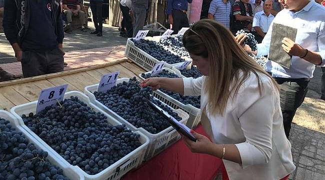 Coğrafi İşaretli Ürünler Yoğun İlgi Gördü