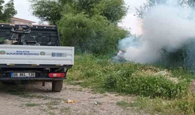 Malatya’da Haşere İle Mücadele Çalışmaları Sürüyor