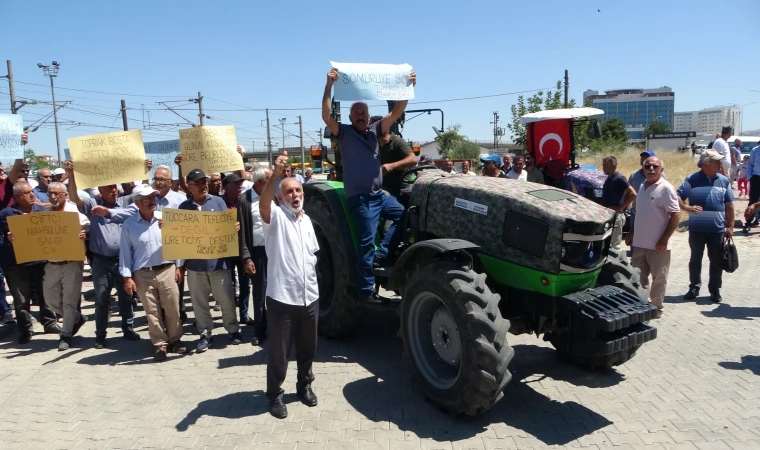 Malatya’da Kayısı Üreticilerinden TMO’ya Çağrı