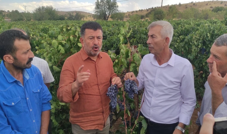 Ağbaba: “Tarım ve Orman Bakanı maalesef tarımdan bihaber yaşıyor”