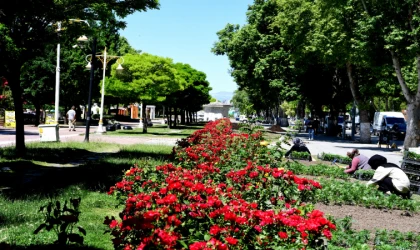 Malatya Büyükşehir’de Peyzaj Çalışmaları,Caddelere Renk Katıyor