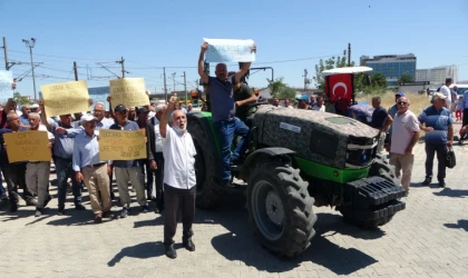 Malatya’da Kayısı Üreticilerinden TMO’ya Çağrı