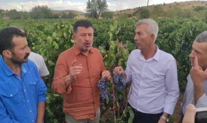 Ağbaba: “Tarım ve Orman Bakanı maalesef tarımdan bihaber yaşıyor”