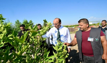 Geçit, Bir Fidanı Üretmek Tıpkı Bir Çocuğu Büyütmek Gibidir”