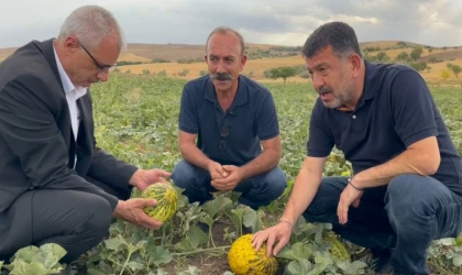 Milletvekili Ağbaba,Malatya Tarımı Çökmüş